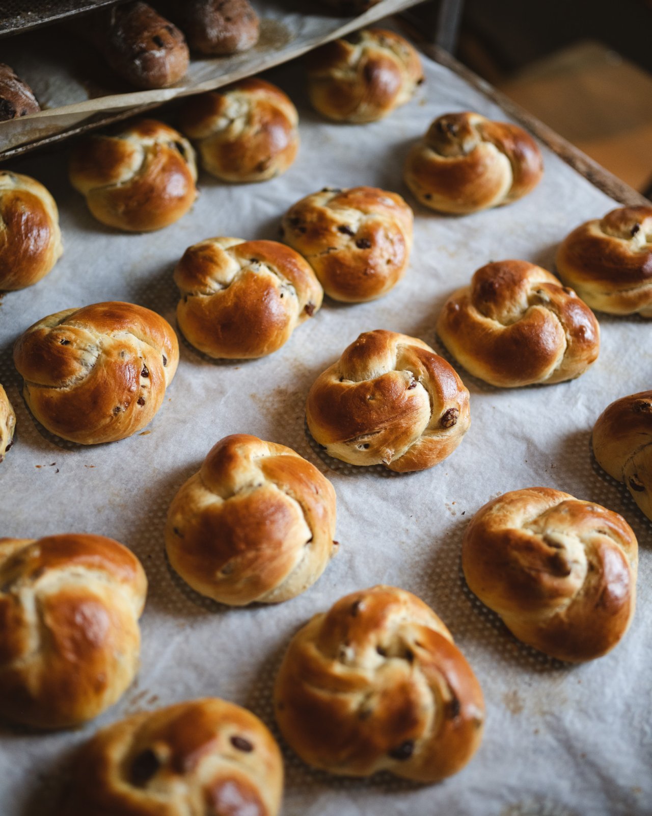 Eine Vielzahl von frisch gebackenen Rosinenknoten mit einer goldbraunen Oberfl&auml;che, gleichm&auml;&szlig;ig auf einem Backblech angeordnet.